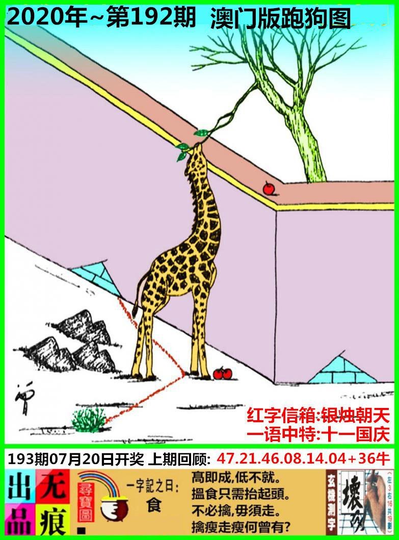 澳门濠江资料网