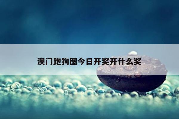 澳门跑狗图今日开奖开什么奖