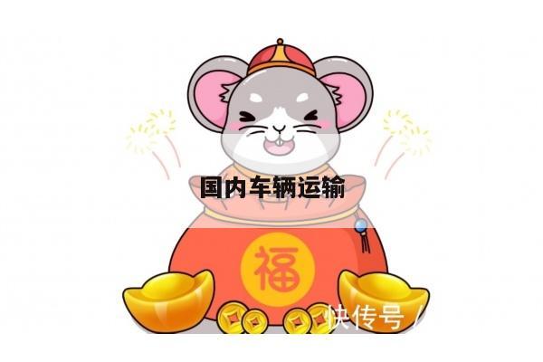 国内车辆运输
