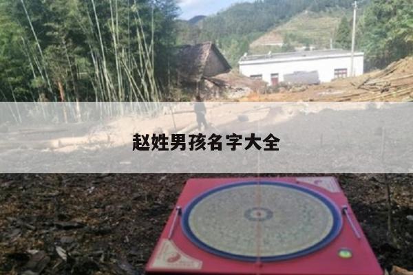 赵姓男孩名字大全