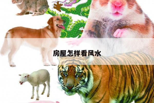 房屋怎样看风水