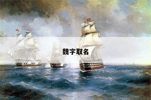 魏字取名