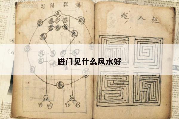 进门见什么风水好