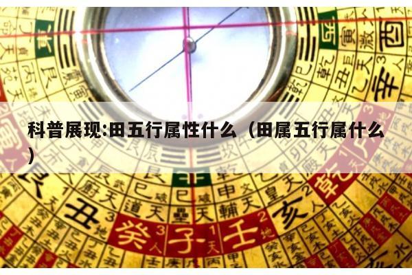 科普展现:田五行属性什么（田属五行属什么）