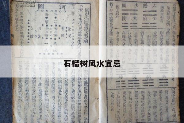 石榴树风水宜忌