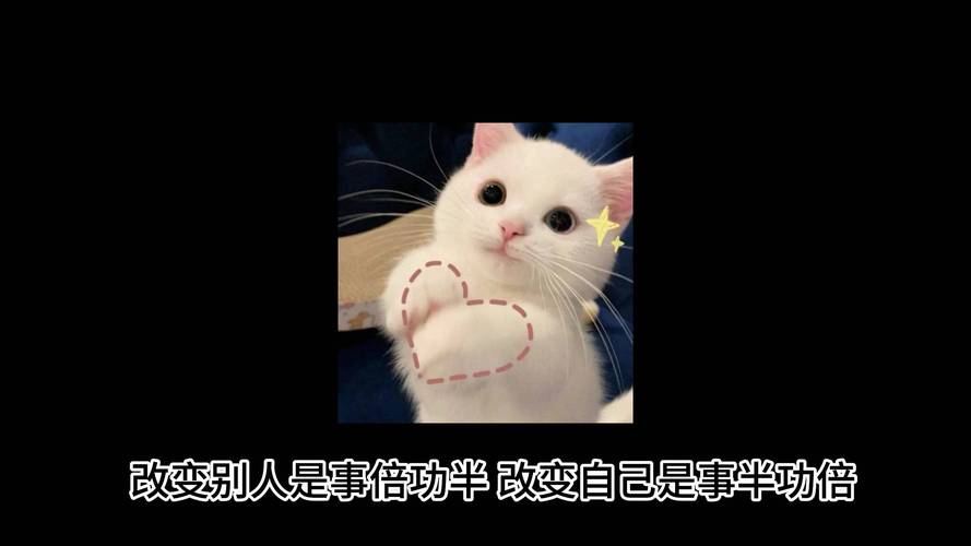 得其法则事半功倍,得其法则事半功倍,不得法则事倍功半怎么读
